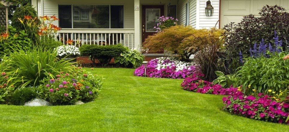 35 Summer Landscaping Tips for the Best Lawn