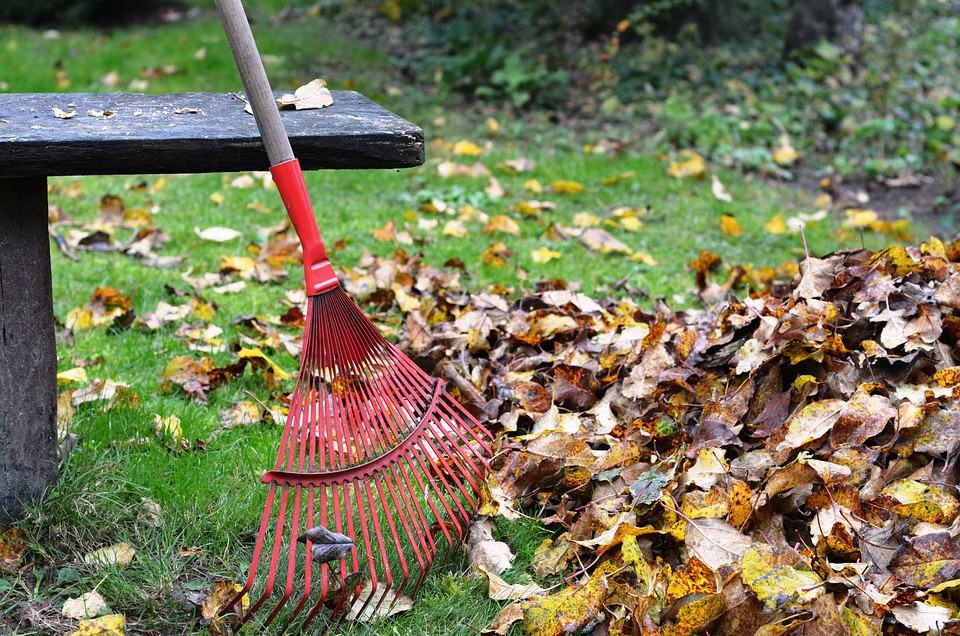 How to Get the Lawn and Garden Ready for Winter