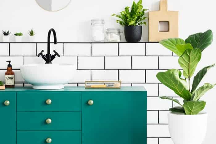 Simple Ways to Jazz Up a Bathroom For Under $100