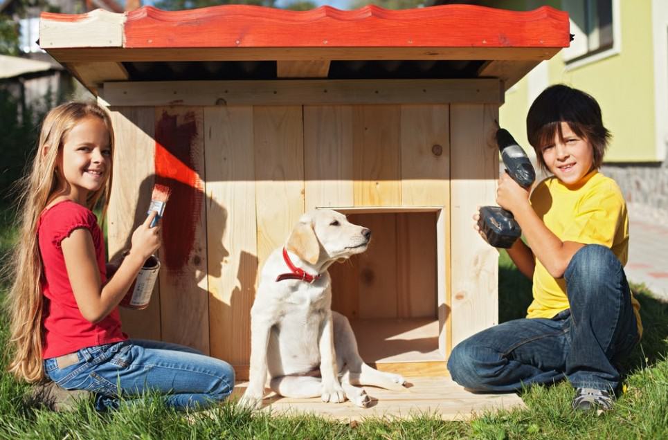 How to Build a DIY Dog House the Family Pet Won’t Want to Leave