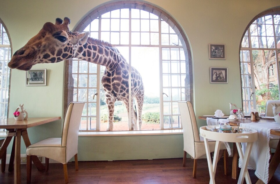 These Quirky Hotels are the Destinations of the Moment