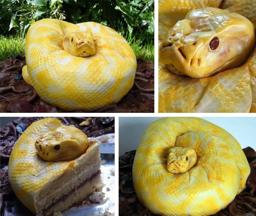 Weird Cakes That Prove People Have Too Much Time On Their Hands