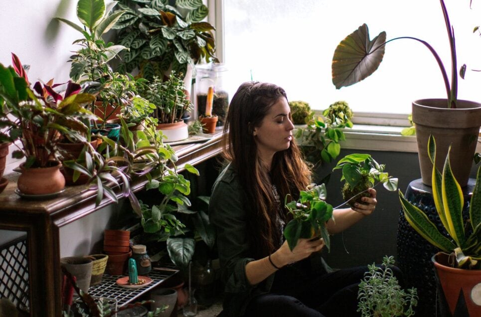 Houseplant Tips For People With Even The Blackest Thumbs