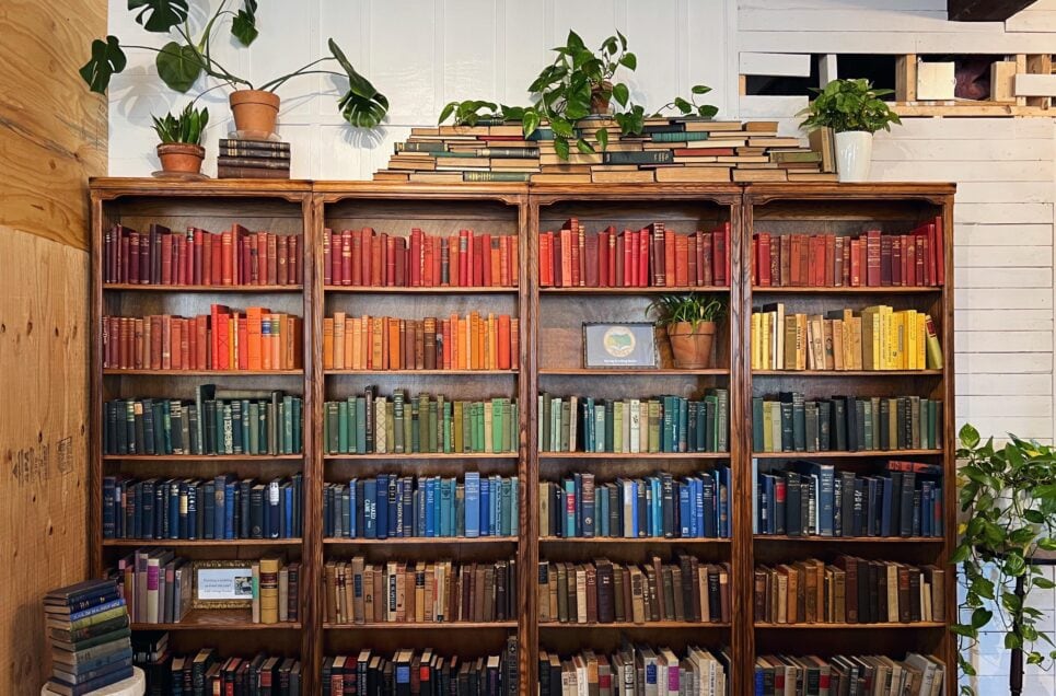 Save Your Bookshelves With These Organizations Tips